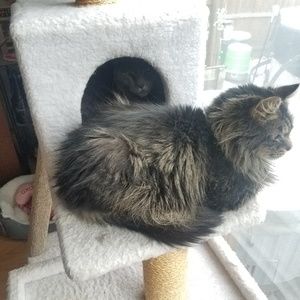 Meet your Posher, Dan